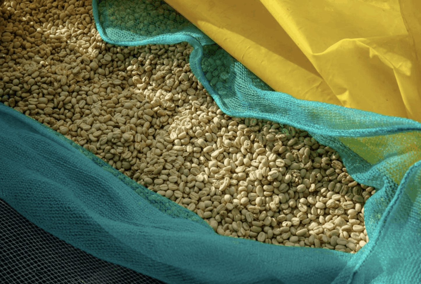 Ethiopia Sidama Washed