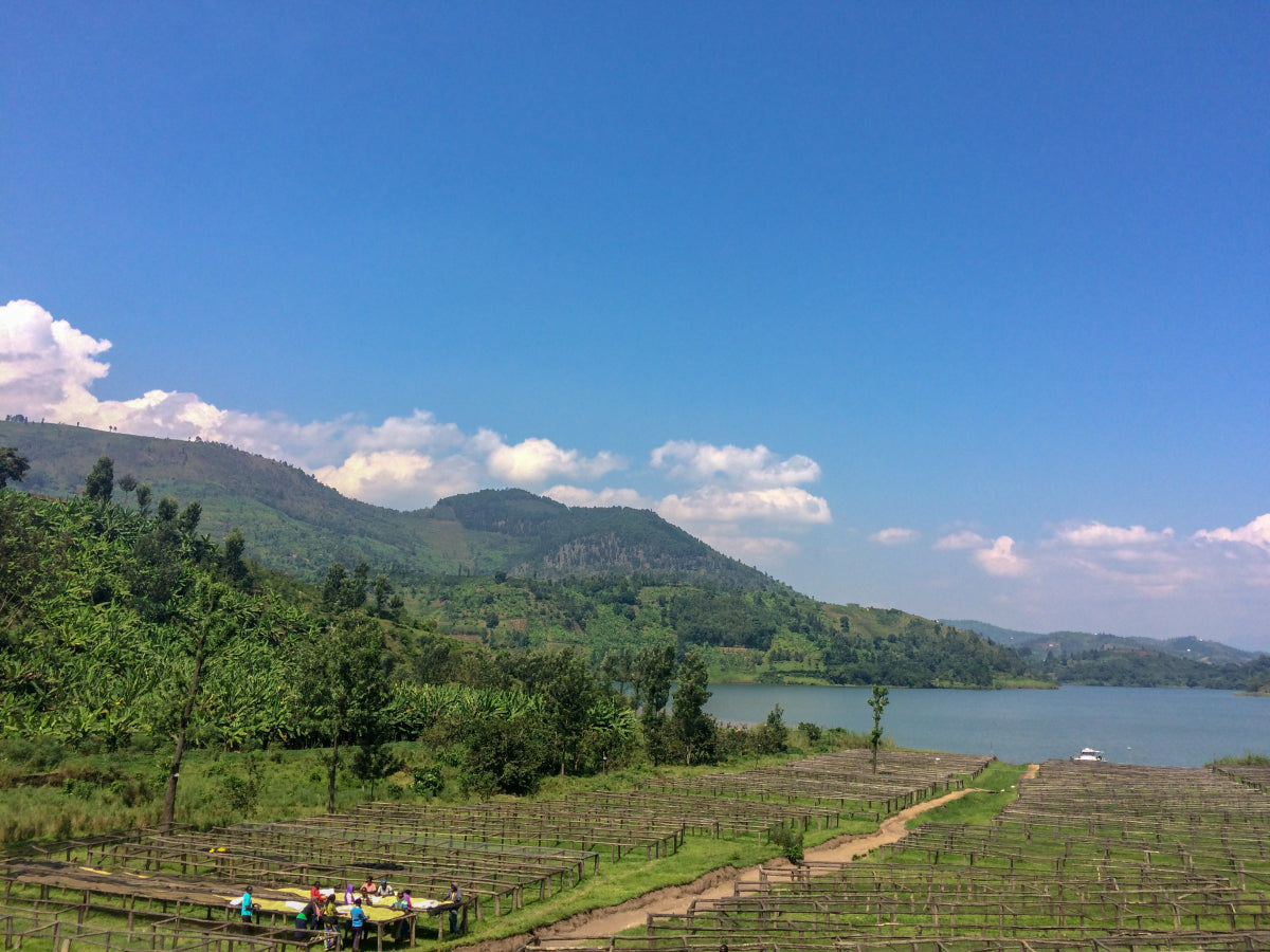 Rwanda Western Province (Natural)