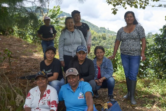 Colombia El Tambo Washed