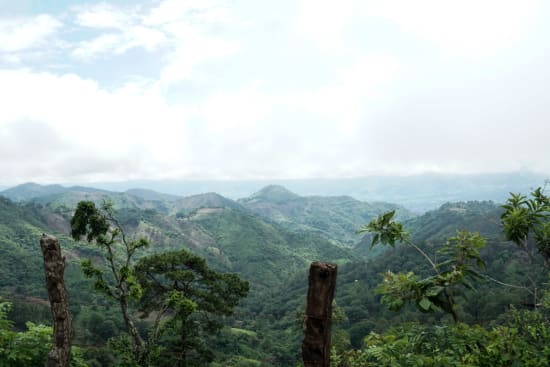 El Salvador GESHA Natural