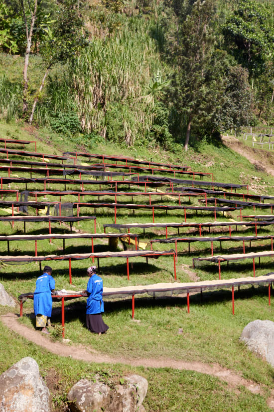 Rwanda Western Province