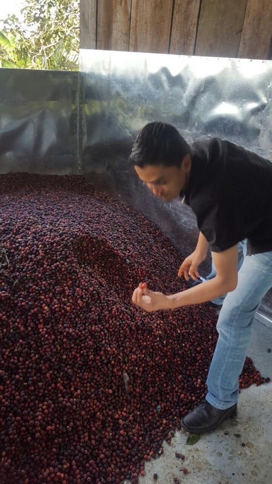 Nicaragua Nueva Segovia