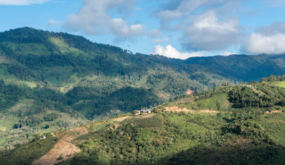 Peru FTO Cajamarca