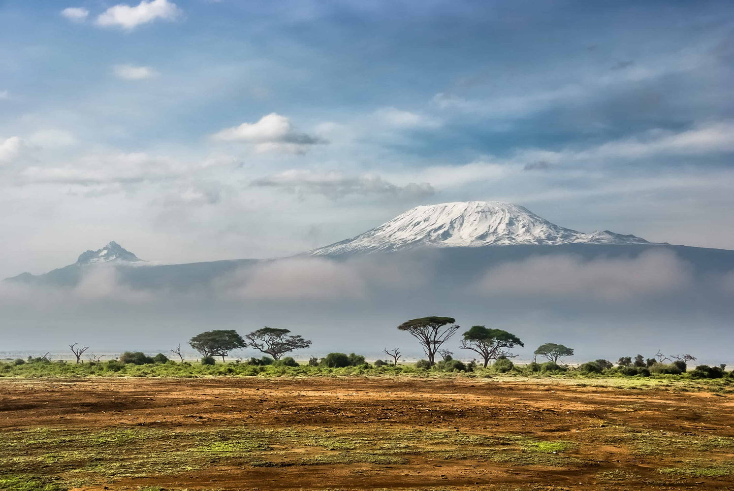 Kenya AA Kichwa Tembo